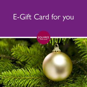 Squire's E-Gift Card - Christmas
